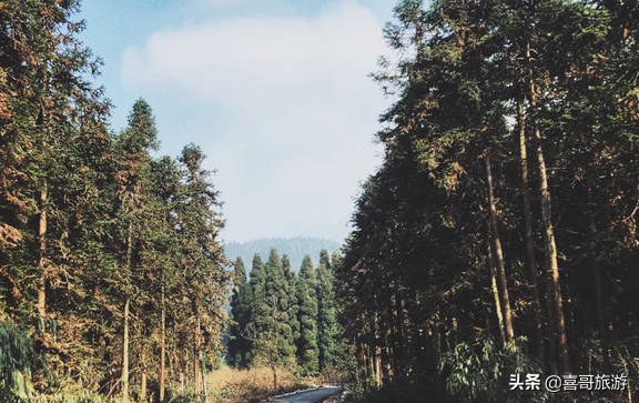 都江堰有什么好玩的旅游景点，都江堰旅游攻略十大必去景点-