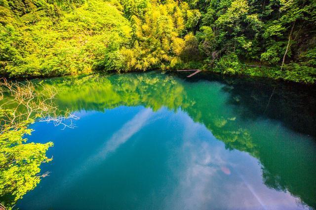 皖南最值得去的地方，不是黄山，而是一个叫醉山野的地方