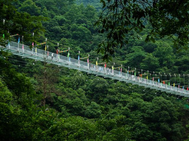 皖南最值得去的地方，不是黄山，而是一个叫醉山野的地方
