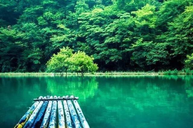 皖南最值得去的地方，不是黄山，而是一个叫醉山野的地方