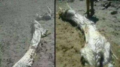 ​世界十大通用机枪，绝地求生中有两把拿上它们能吃鸡