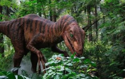 ​巴恩钵式龙：性格比较温和的恐龙 可和其他生物共同发展