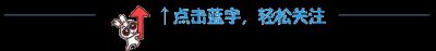 ​可怕的亚马逊