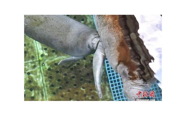 遭到家暴应该怎么办