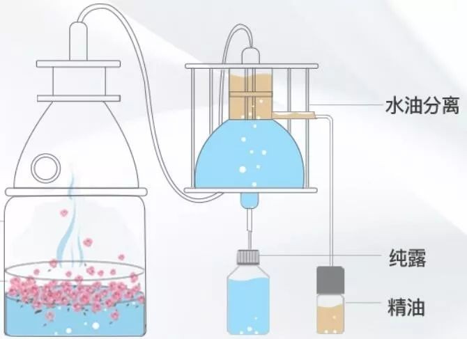 什么是粉刺和闭口图片（粉刺的形成原因及解决办法）