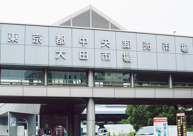 世界第一大花市（带你游览全球花市）(27)