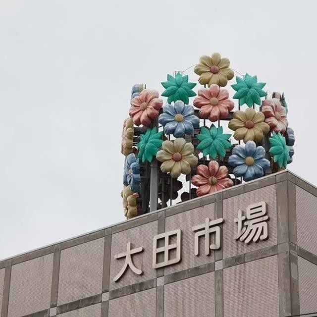 世界第一大花市（带你游览全球花市）(30)