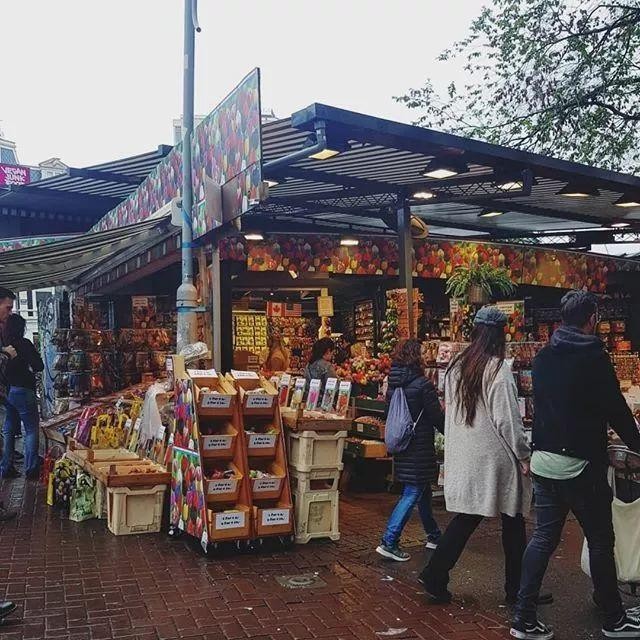 世界第一大花市（带你游览全球花市）(22)