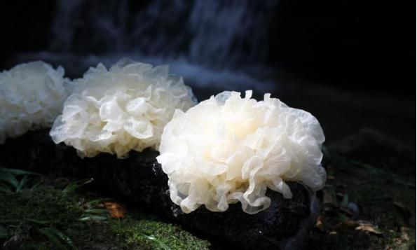 银耳莲子羹一周吃几次，养生壶炖银耳莲子羹需要多长时间？图3