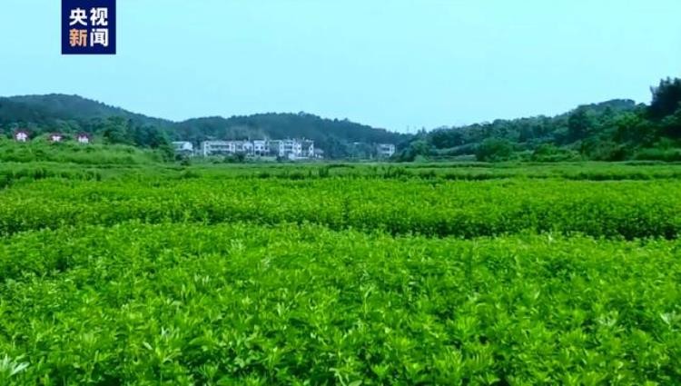 我国奇葩地名,令人惊艳的中国地名