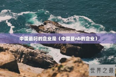 ​中国最叼的企业是（中国最nb的企业）