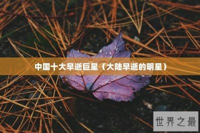​中国十大早逝巨星（大陆早逝的明星）