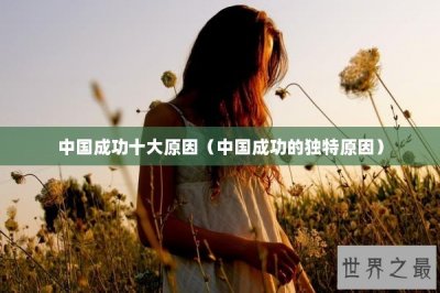 ​中国成功十大原因（中国成功的独特原因）