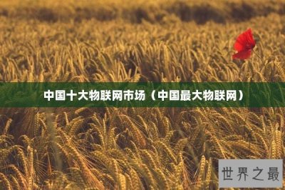 ​中国十大物联网市场（中国最大物联网）