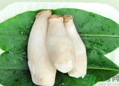 ​吃杏鲍菇有什么好处？吃杏鲍菇对身体好吗？