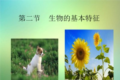 ​生物的基本特征,生物的基本特征有哪些初一上册