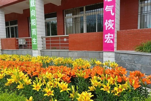 小人长戚戚，君子坦荡荡小人长戚戚告诉我们什么？图2
