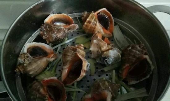 海螺开锅蒸几分钟好,海螺需要蒸多久才可以煮熟图7