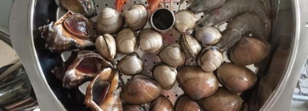 海螺开锅蒸几分钟好,海螺需要蒸多久才可以煮熟图6