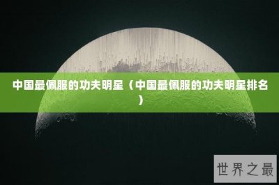 ​中国最佩服的功夫明星（中国最佩服的功夫明星排名）