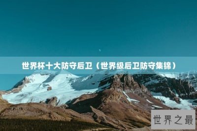 ​世界杯十大防守后卫（世界级后卫防守集锦）
