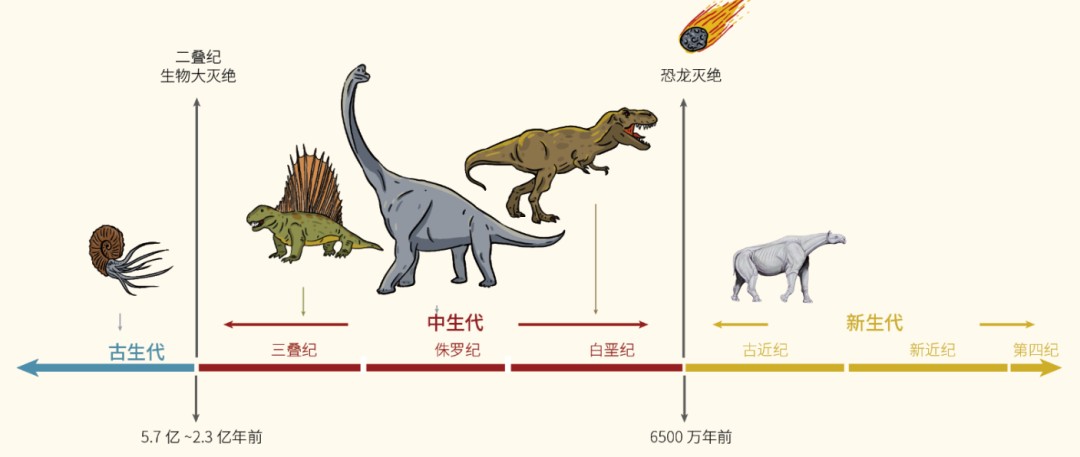 它是史上最大的陆地哺乳动物，体重可达24吨！能穿越青藏高原两侧