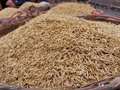 ​杂交水稻和普通水稻的区别（详解2种水稻的区别）