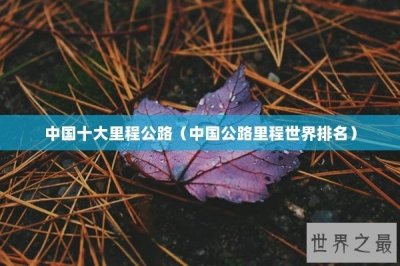 ​中国十大里程公路（中国公路里程世界排名）