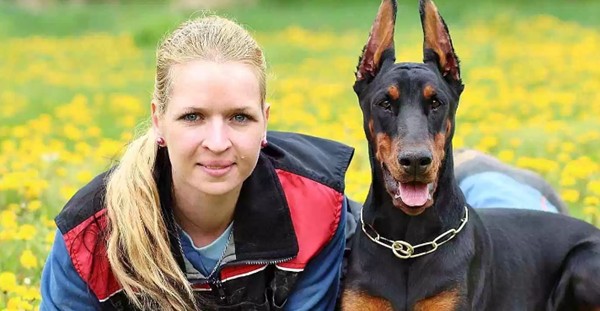 世界十大最优秀的护卫犬（可以很容易地压倒入侵者）(2)_