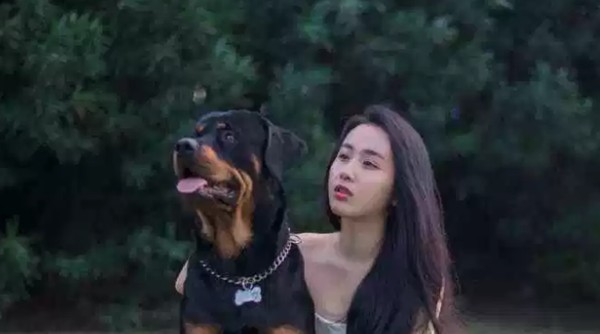 世界十大最优秀的护卫犬（可以很容易地压倒入侵者）(3)_
