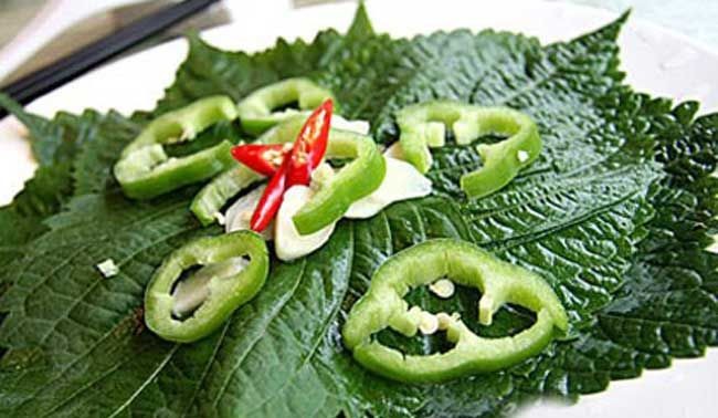 苏子叶可以冷冻留着冬天吃么