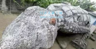 ​世界上最奇葩的屋子，绝壁上的豪宅楼顶还戴泅水池