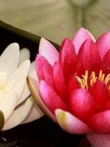 ​节省的意思(节省的意思是什么意思是什么)