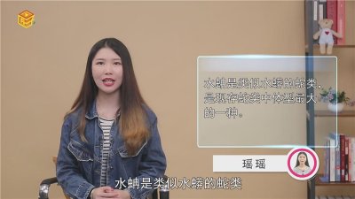 ​水蚺是什么
