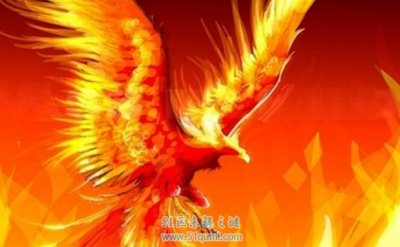 ​世界上末尾一只凤凰，能保佑人永生没有总是果然吗？