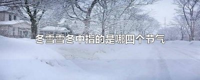 ​冬雪是节气吗为什么 雪冬是哪个节气