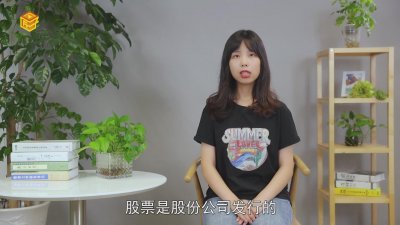 ​股票是什么意思