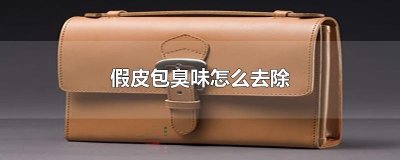 ​假皮包臭味怎么去除