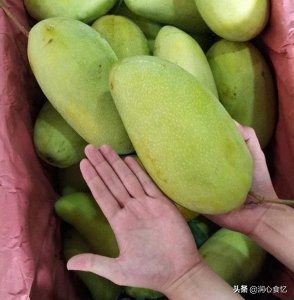 ​青芒果怎么催熟变黄？教你2个快速催熟青芒小妙招