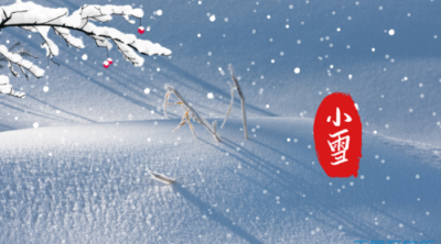 ​小雪节气的含义是什么，小雪节气特有的花的含义是什么？