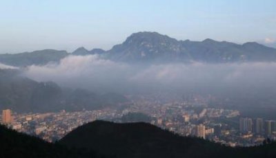 ​宠物兔子寿命 宠物兔子寿命是多少年