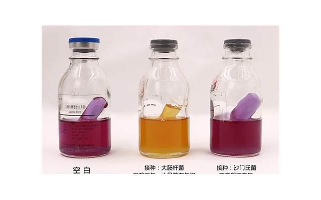 如何解决婆媳矛盾，是否可以考虑分居？