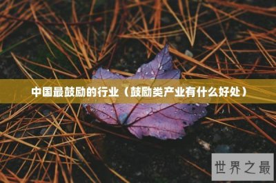 ​中国最鼓励的行业（鼓励类产业有什么好处）