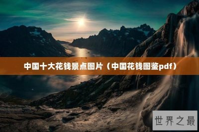 ​中国十大花钱景点图片（中国花钱图鉴pdf）