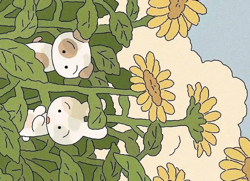 不知道和喜欢的妹子怎么聊天？教你这三招！