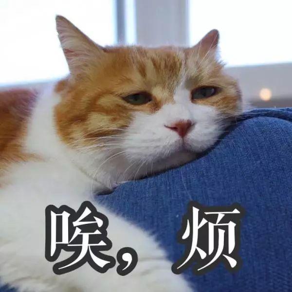 孩子不听话怎么办教你三招？孩子不听话该怎么办(3)