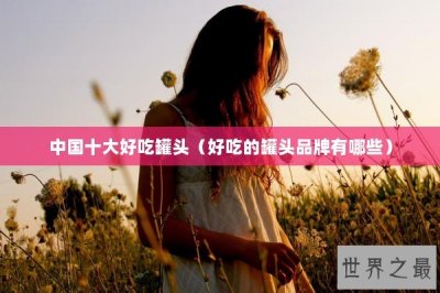 ​中国十大好吃罐头（好吃的罐头品牌有哪些）