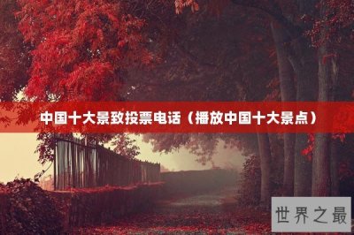 ​中国十大景致投票电话（播放中国十大景点）