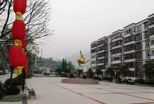 我热爱碧口，并深深地眷恋它！