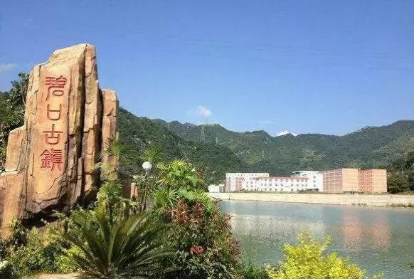 我热爱碧口，并深深地眷恋它！